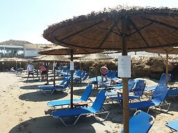 Diogenis Blue Palace