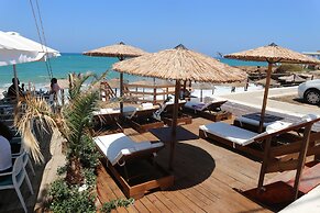 Diogenis Blue Palace