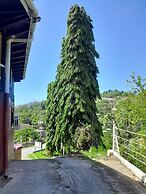 Las Cuevas Beach Lodge