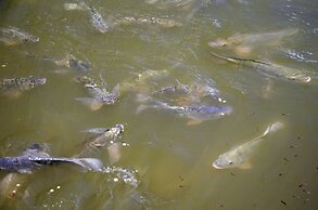 Pousada Rio dos Cristais