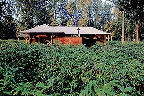 Elewana Arusha Coffee Lodge