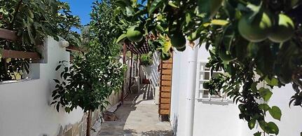 Skiathos Holiday Resort