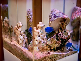 Nagahama Beach Resort Kanon