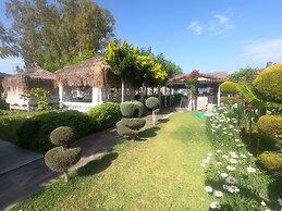 Mavi Yengec Bungalows and Hotel