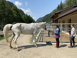 A CASA Juwel - Ski in & Out Appartements