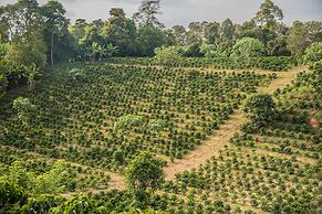 Hotel El Eden Parque Del Cafe