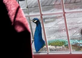 Langley Castle Hotel