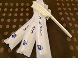 Hotel Live Max Yokohama Motomachi Ekimae