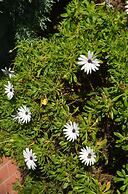 Ten Dollar Town Motel