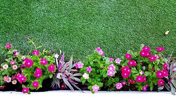 Barefeet Naturist Resort