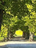 Tiendegaarden