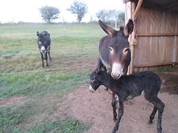 Ferme de Bellevue