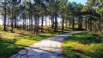 Pensión San Roque