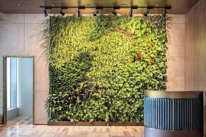 the DOUGLAS, Autograph Collection