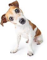 BauerGården Gästgiveri & Konferens