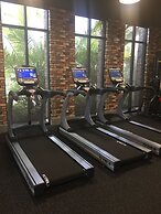 Lexington Vacations Champ by Stark Hosp