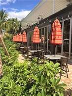 Lexington Vacations Champ by Stark Hosp