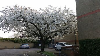 LETS Quiet Cul-de-Sac Apartment