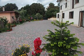 B&B La Terrazza Di Frascati