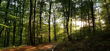 Apart & Wellness Hotel VILLA IVICA