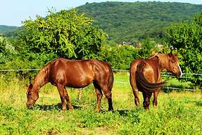 Apart & Wellness Hotel VILLA IVICA