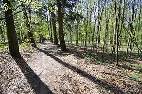 Apart & Wellness Hotel VILLA IVICA