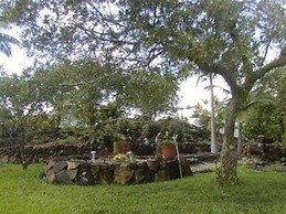 Old Hawaiian B and B