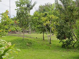 Old Hawaiian B and B