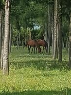 Samawati Lakeside Cottages