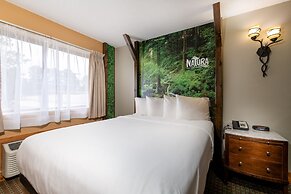 Natura Treescape Resort