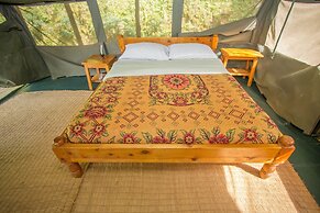 Bushara Island Camp