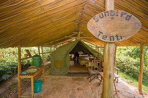 Bushara Island Camp