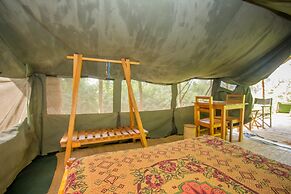 Bushara Island Camp