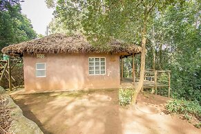 Bushara Island Camp