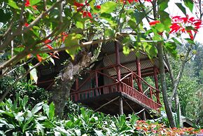 Crater Bay Cottages