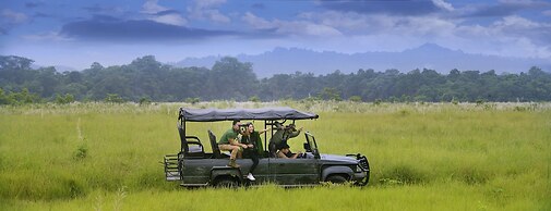 Barahi Jungle Lodge
