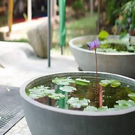 Colombo Villa at Cambridge Place