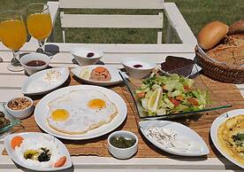 Sea of Galilee Panoramic View