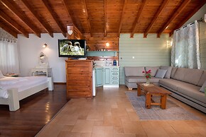 Sea of Galilee Panoramic View