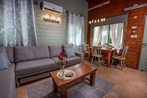 Sea of Galilee Panoramic View