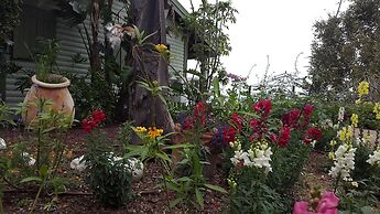 Sea of Galilee Panoramic View