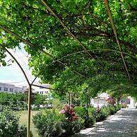 Cross Resort Yerevan