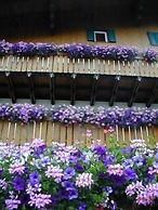 Sport Hotel