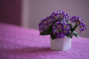 Rotte e Sentieri B&B