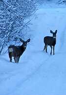 Teton Hostel HideAway