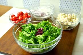 Rembrandt Style Tokyo Nishikasai Grande