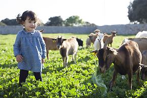 Agroturismo Llucmaçanes Gran