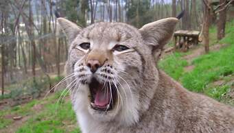 Cerdeira - Home for Creativity