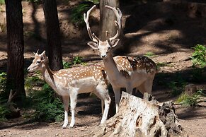 Cerdeira - Home for Creativity