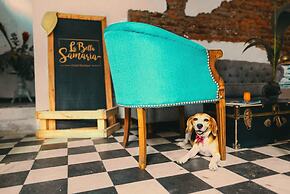 Casa La Bella Samaria Hostel Boutique